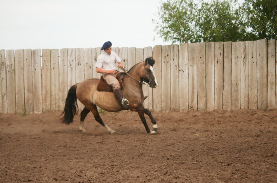 Lote LACAMPANA LUNITA