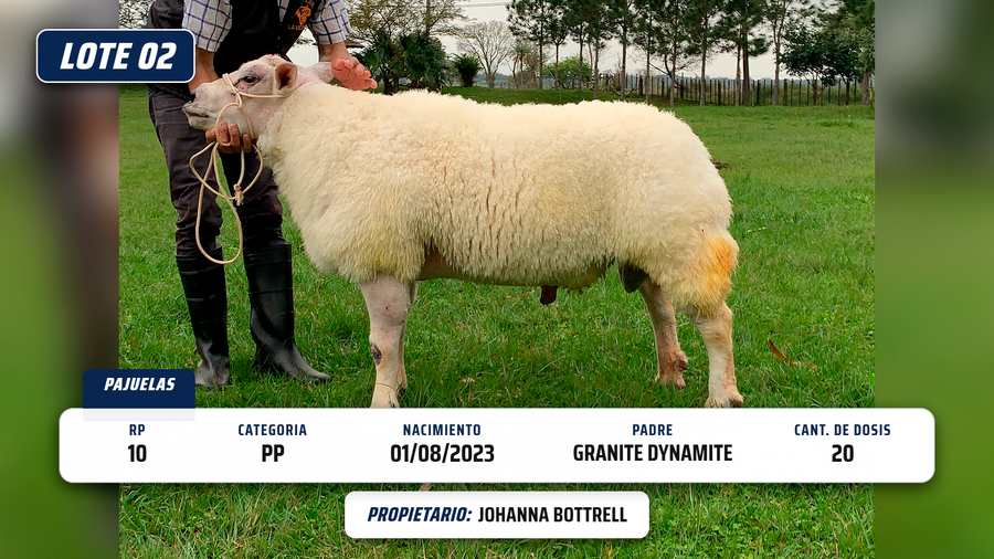 Lote LOTE 2