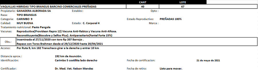 Lote Reproductores de Alborada - Lote 67