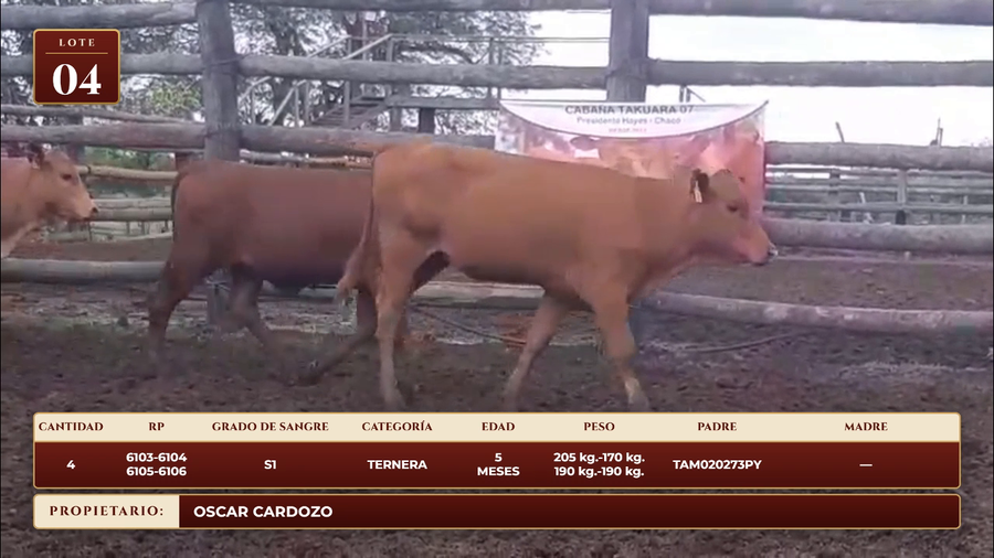 Lote LOTE 4