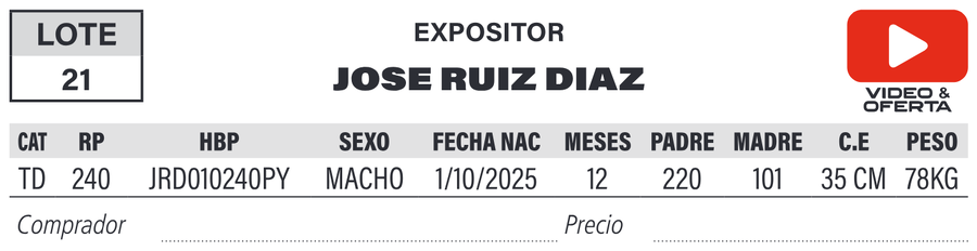 Lote LOTE 21