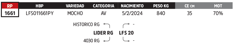 Lote LOTE 25