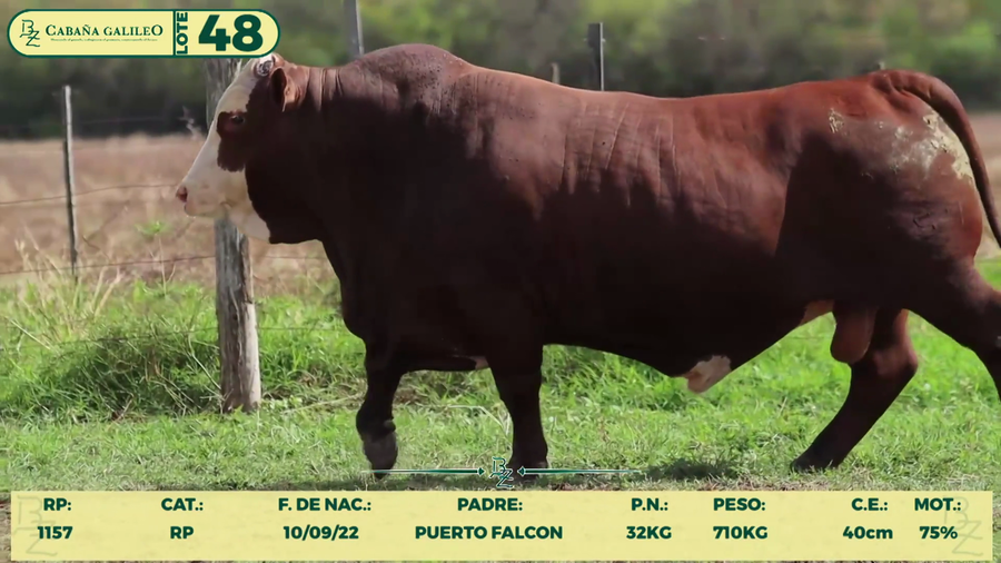 Lote LOTE 48