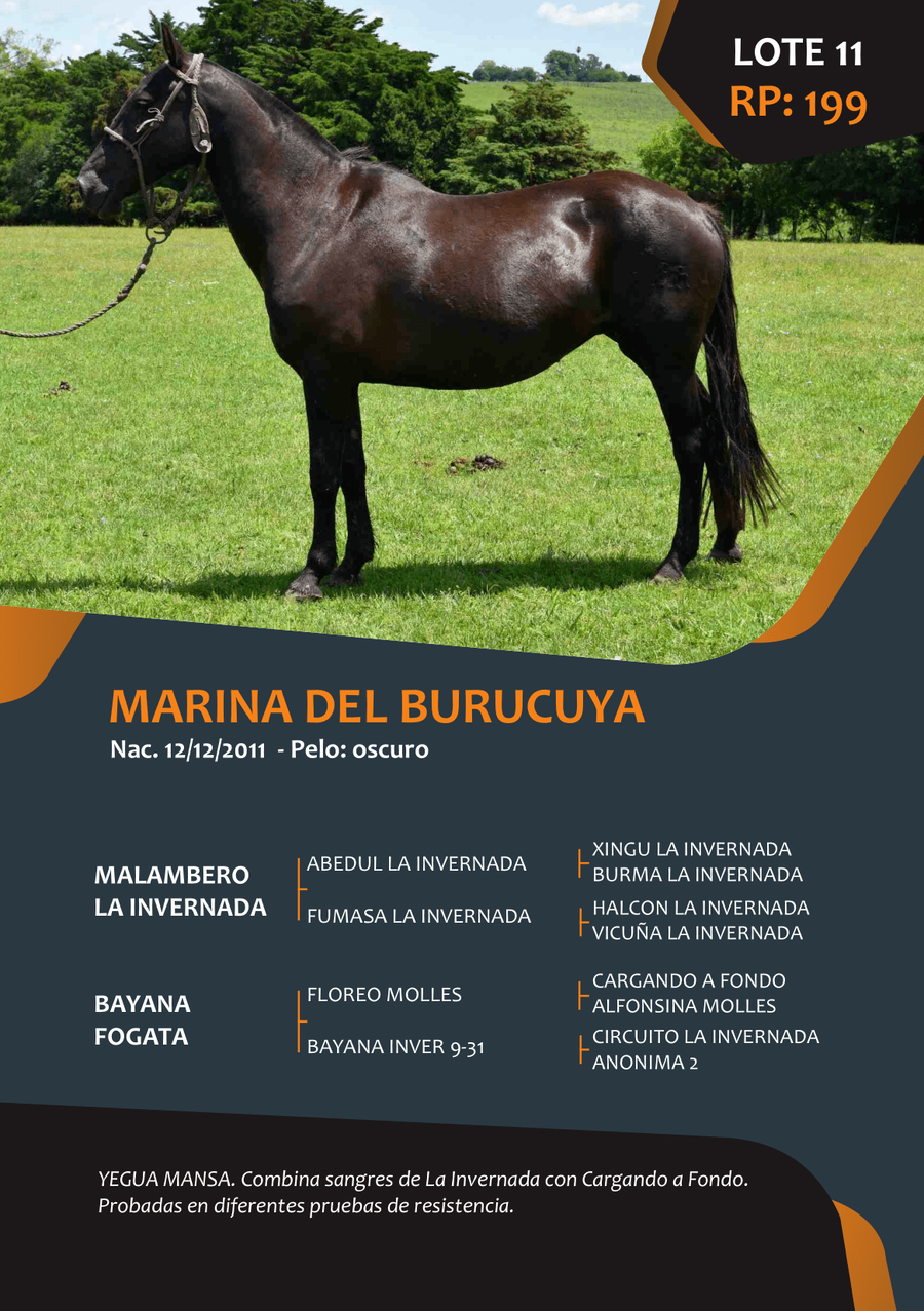 Lote RP 199 - MARINA DEL BURUCUYA