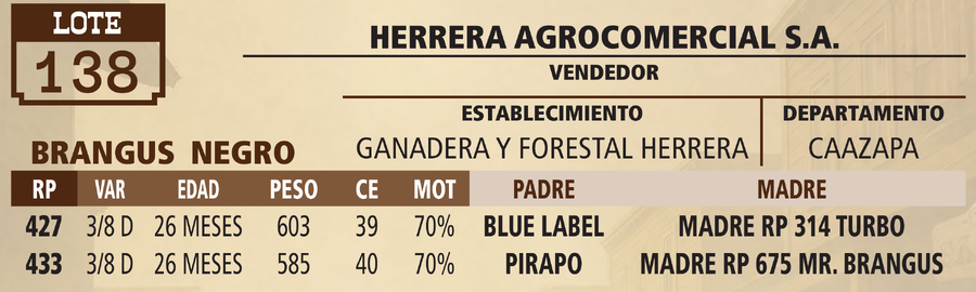 Lote LOTE 138 - VIVO