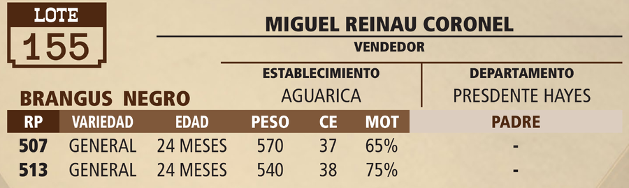 Lote LOTE 155 - PANTALLA