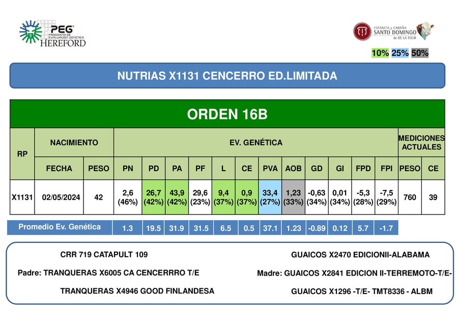 Lote ORDEN 16 TOROS PP