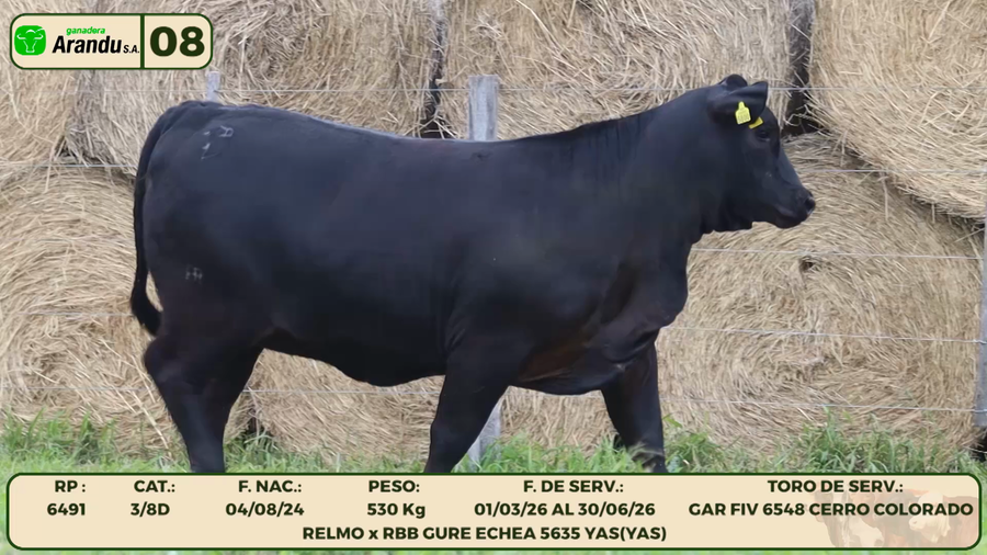 Lote LOTE 8