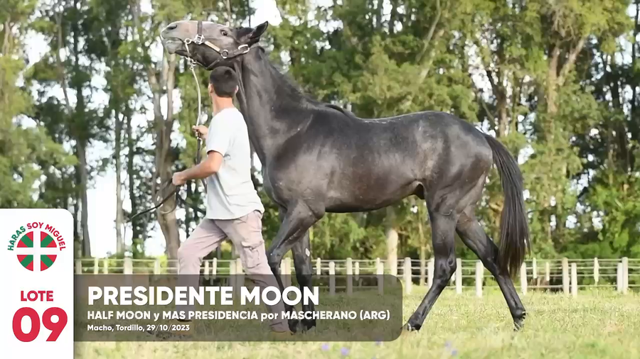 Lote PRESIDENTE MOON