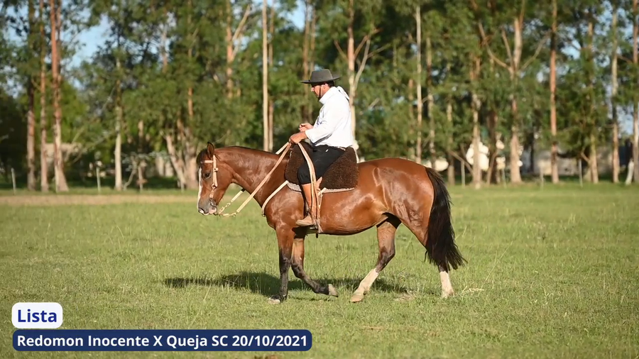 Lote Lista
