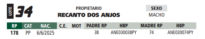 Lote LOTE 34
