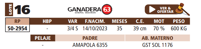 Lote LOTE 16