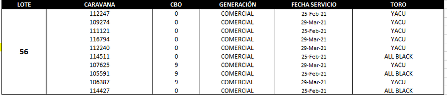 Lote Reproductores de Alborada - Lote 56