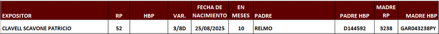 Lote LOTE 9