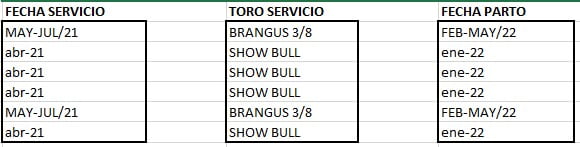 Lote VAQUILLONA PREÑADAS CORRAL 69