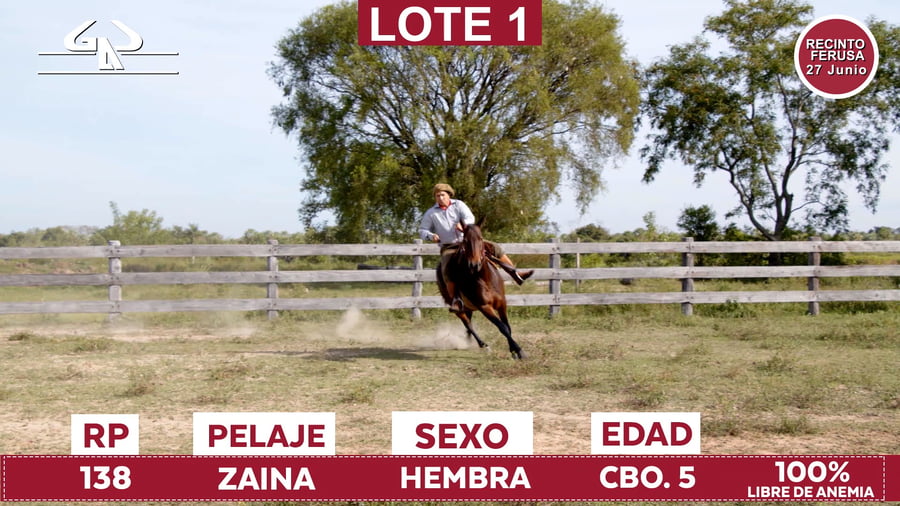 Lote Reproductores de Alborada - Lote 01