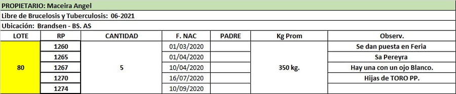 Lote Lote 80 Maceira Angel