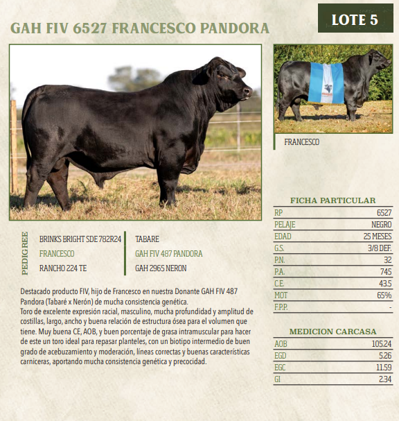 Lote LOTE 5