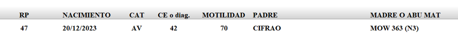 Lote LOTE 38