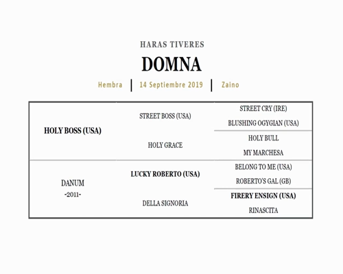 Lote RE RELAXING (REMOTE - WAKING UP)