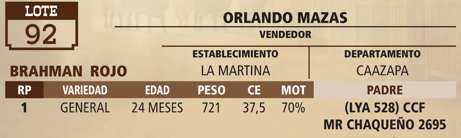 Lote LOTE 92 - VIVO