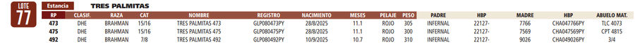 Lote LOTE 77