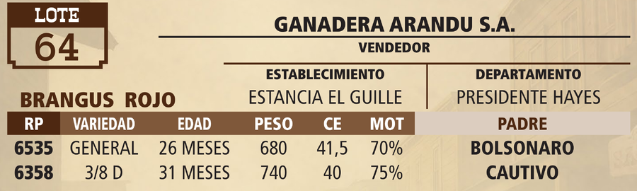 Lote LOTE 64 - VIVO