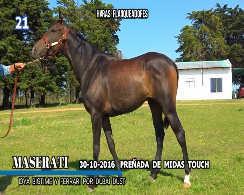 Lote MASERATI