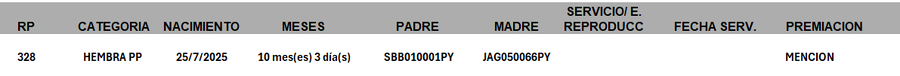 Lote LOTE 11