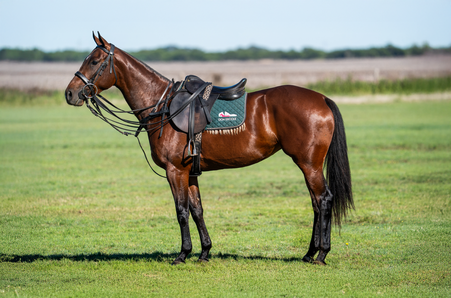 Lote DON ERCOLE GEOMETRICA