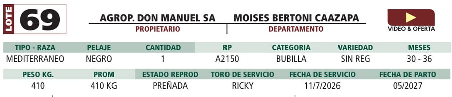 Lote LOTE 69