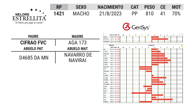 Lote LOTE 46