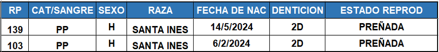 Lote LOTE 27