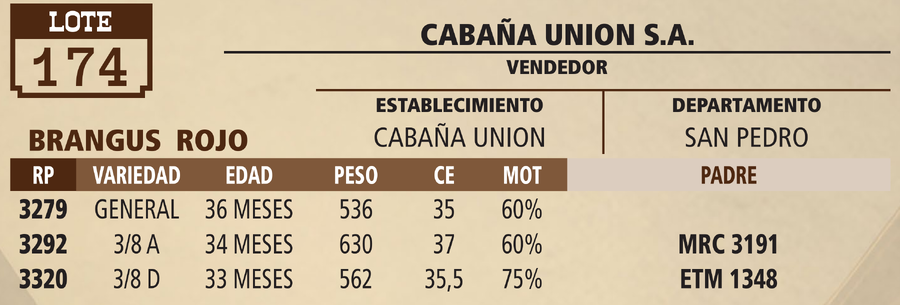 Lote LOTE 174 - PANTALLA