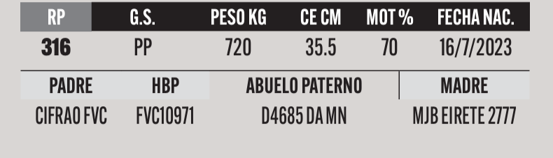Lote LOTE 48