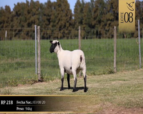 Lote Borregas a remate en Cabaña Las Brujas, San José