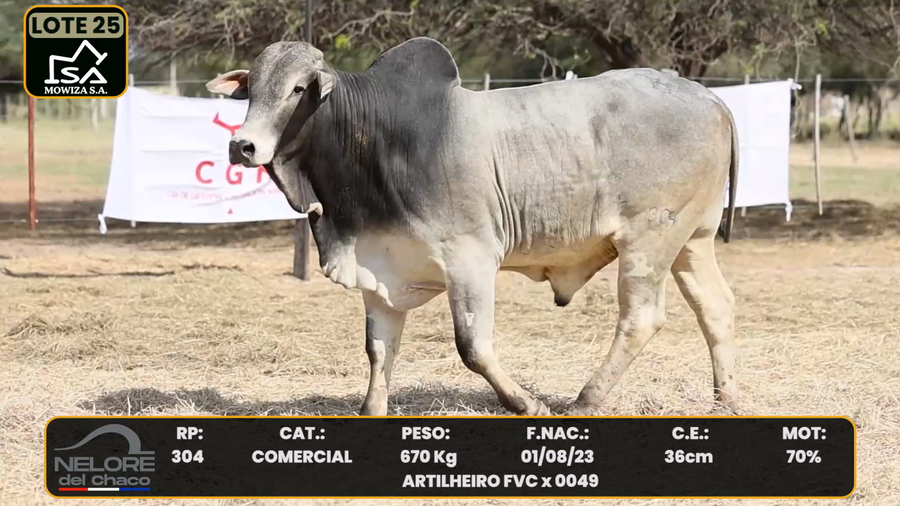 Lote LOTE 25