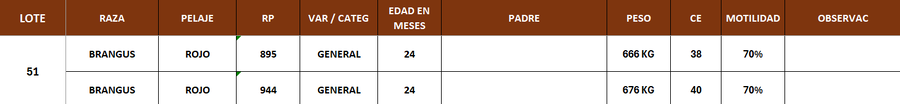 Lote LOTE 51