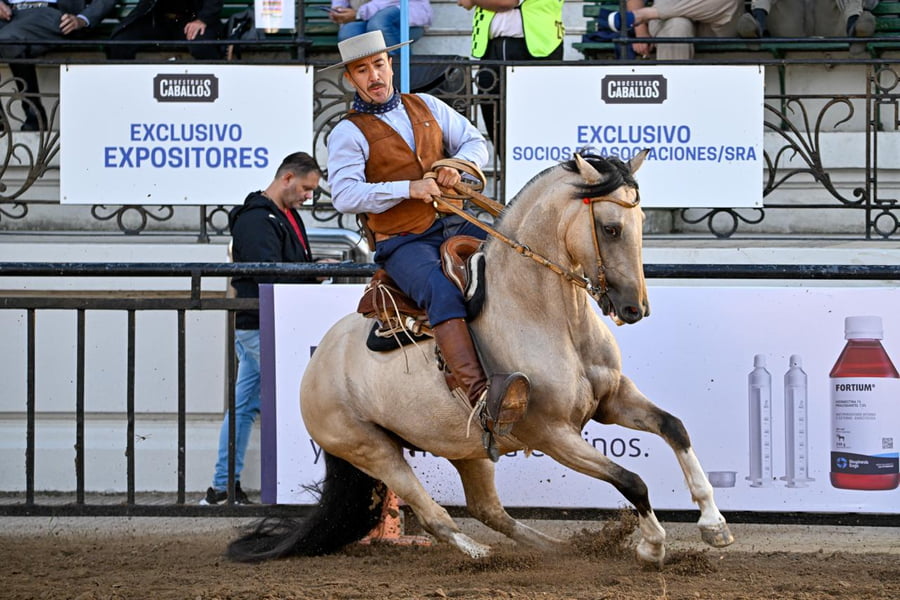 Lote MATUTE AYACUCHO ALEGRA