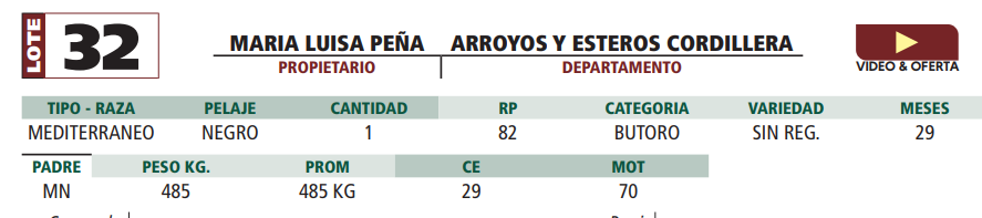 Lote LOTE 32