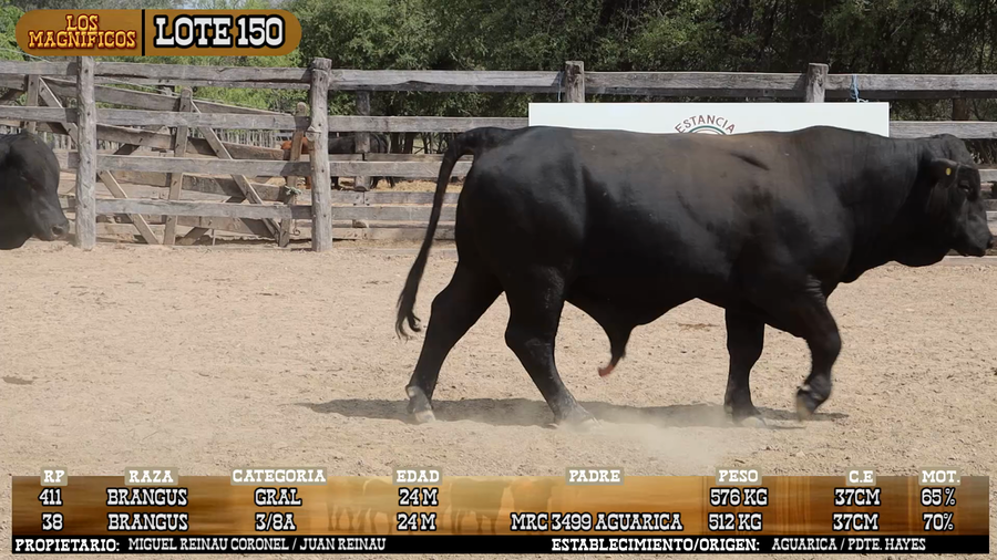 Lote LOTE 150 - PANTALLA