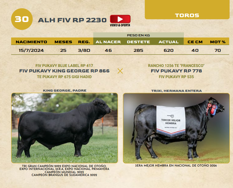 Lote LOTE 30
