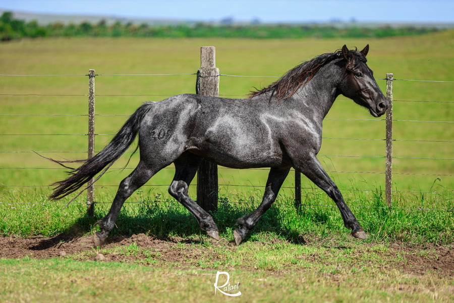 Lote NO SALE A VENTAS