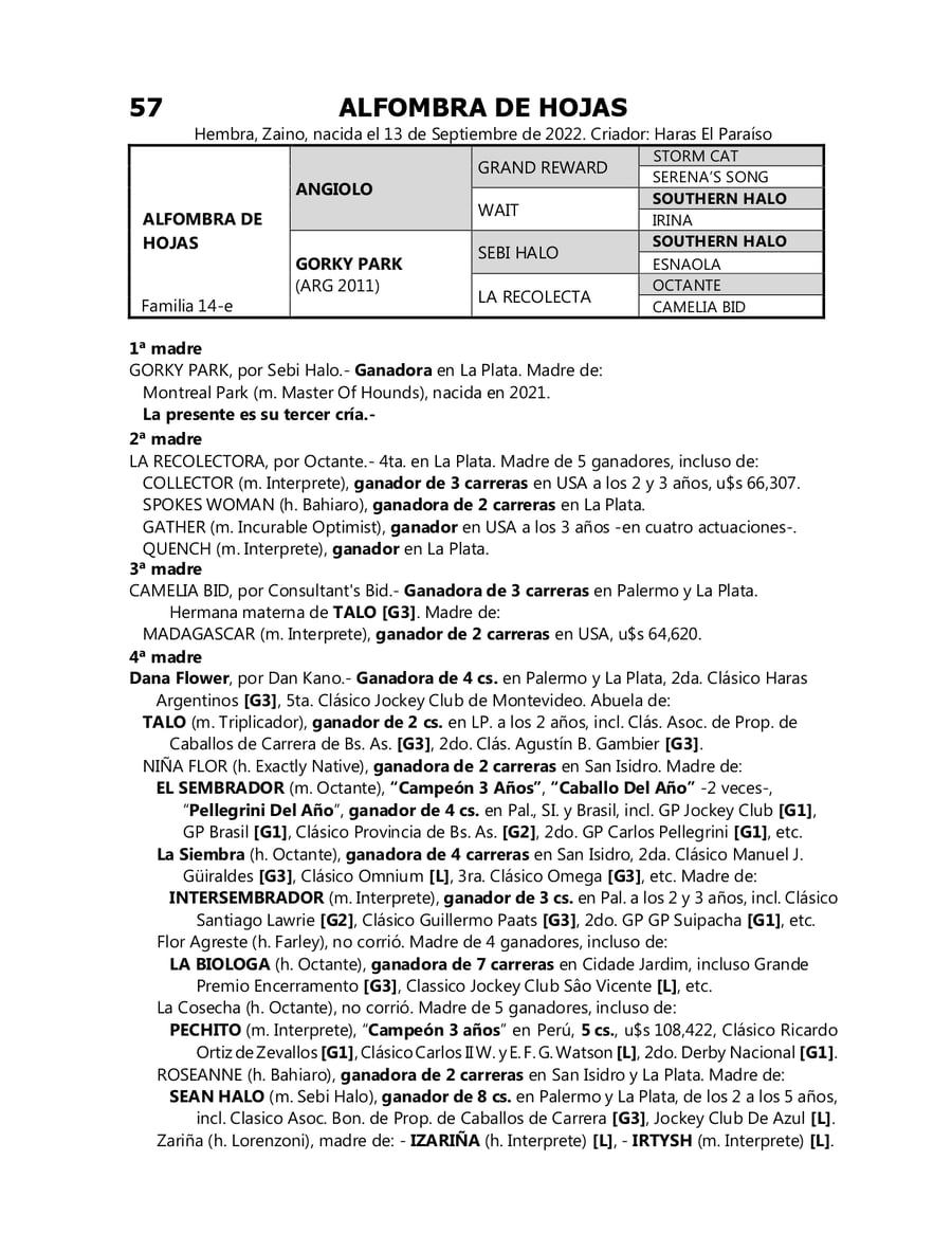 Lote ALFOMBRA DE HOJAS