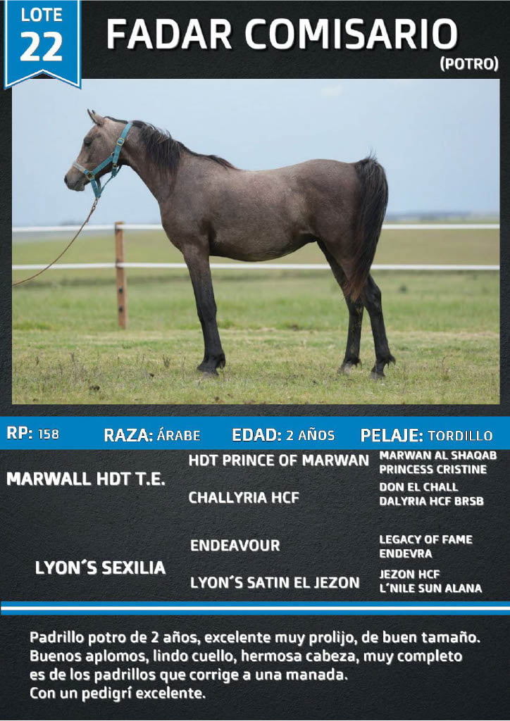 Lote FADAR COMISARIO