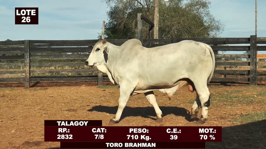 Lote Cabañas de Tradición - Lote 26