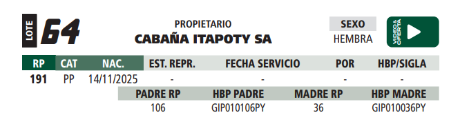 Lote LOTE 64- ELITE