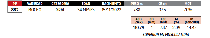 Lote LOTE 3