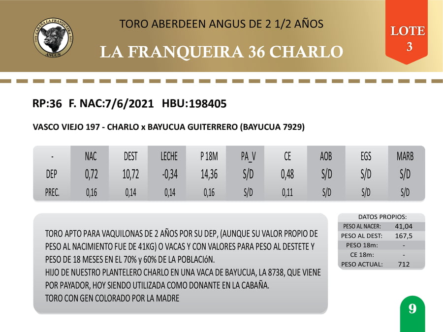 Lote Toros AA a remate en La Franqueira Angus, Florida