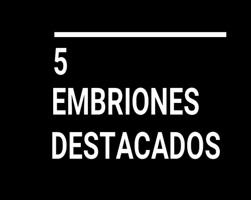 Lote AIGUAMBAE RAUCHO 23 - TE CLARISA HEMINGWAY